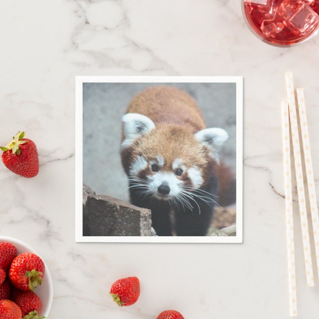 Cute Napkin (Insitu)