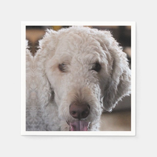 Cute     napkin (Front)