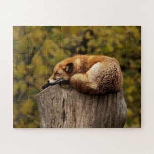 Cute Napping Fox Jigsaw Puzzle Wildlife