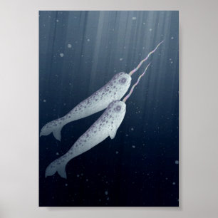 Cute Narwhals Swimming Together Underwater Poster