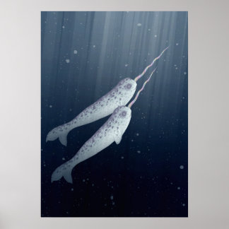 Cute Narwhals Swimming Together Underwater Poster