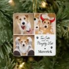 Cute Naughty List Dog Pet 3 Photo Funny Christmas