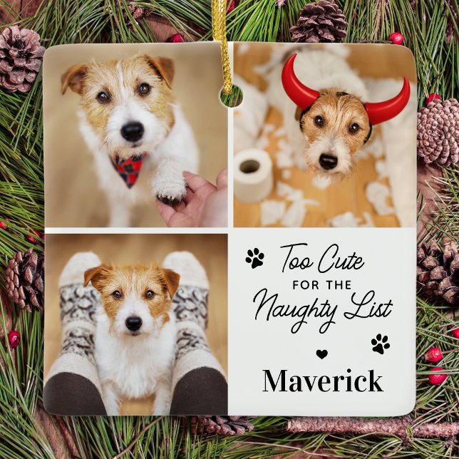Cute Naughty List Dog Pet 3 Photo Funny Christmas Ceramic Ornament (Creator Uploaded)