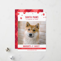 Cute Naughty or Nice Dog Christmas Photo