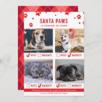 Cute Naughty or Nice Four Pet Christmas Photo