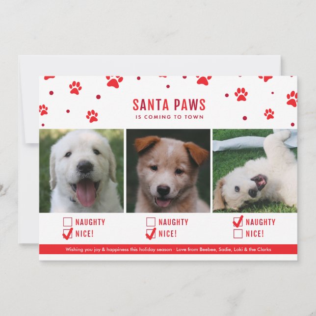 Cute Naughty or Nice Three Dog Christmas Photo Holiday Card (Front)