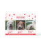 Cute Naughty or Nice Three Dog Christmas Photo