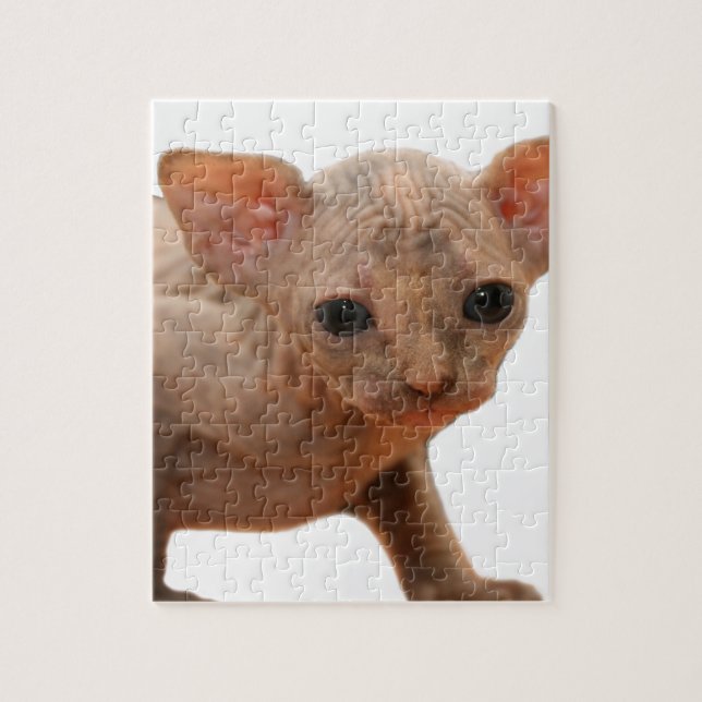 Cute newborn sphynx kitten jigsaw puzzle (Vertical)