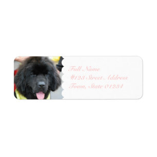 Cute Newfoundland Mailing Labels