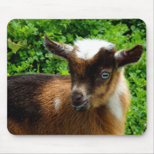 Cute Nigerian Dwarf Dairy Goat Kid Mouse Mat
