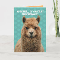 Cute No Drama Llama Or Alpaca My Stuff Birthday