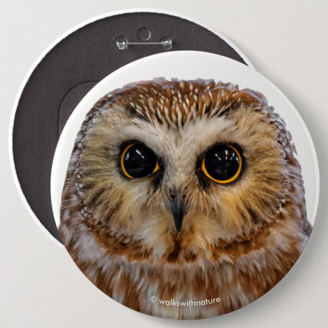 Cute Northern Saw Whet Owl 6 Cm Round Badge (Front & Back)