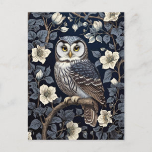 Cute Northern Saw-Whet Owl And Moonflowers On Navy Postcard