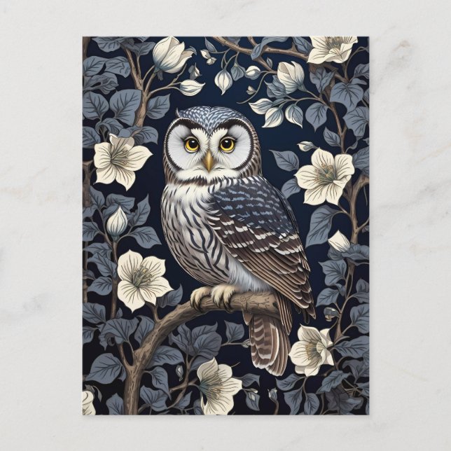 Cute Northern Saw-Whet Owl And Moonflowers On Navy Postcard (Front)