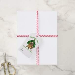 Cute Norwich Terrier Christmas Gift Tags