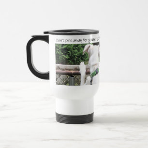 Cute Nosey White Dog Looking at Other Yard's Grass Travel Mug