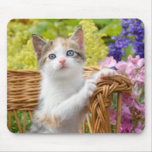 Cute Nosy Baby Cat Kitten in a Flowering Garden Mouse Mat