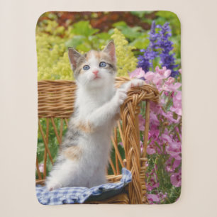 Cute Nosy Baby Cat Kitten in a Flowering Garden - Sherpa Blanket