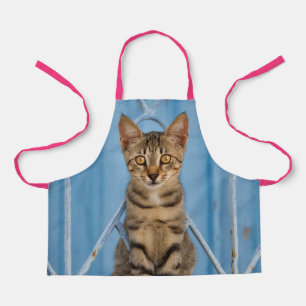 Cute Nosy Tabby Cat Kitten Sitting in a Blue Fence Apron