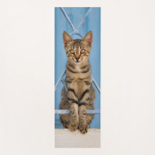 Cute Nosy Tabby Cat Kitten Sitting in a Blue Fence Yoga Mat