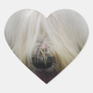 Cute Old English Sheepdog  Stickers