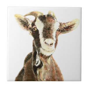 Cute Old Goat, Farm Animal Humour Tile