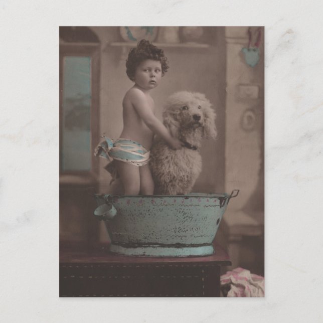 Cute Old Photo Little Kid with Dog In Bathtub Postcard (Front)