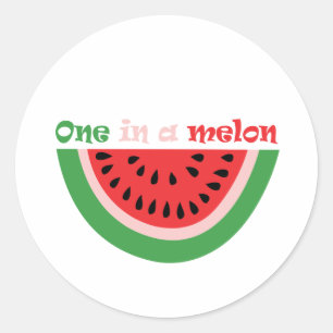 Cute One In A Melon 1st Birthday Classic Round Sticker