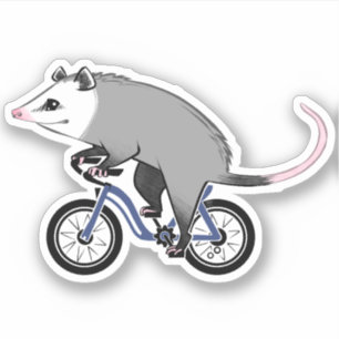 Cute Opossum On A Bicycle