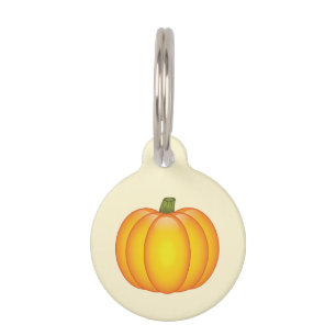 Cute Orange Cartoon Fall Pumpkin And Pet's Info Pet Tag