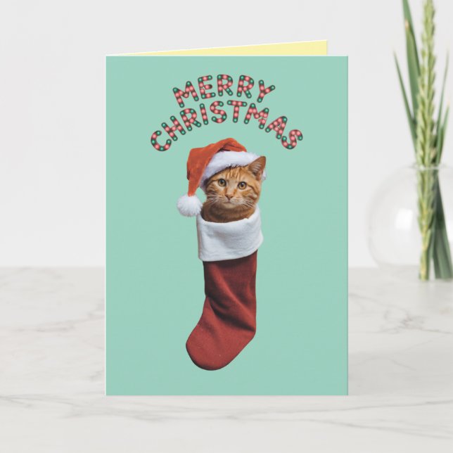 Cute Orange Cat Christmas Holiday Card (Front)