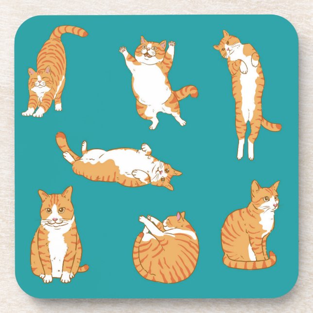 Cute Orange Cat Poses Coaster (Front)