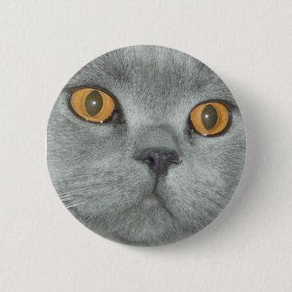 Cute Orange Eyed Kitty Button