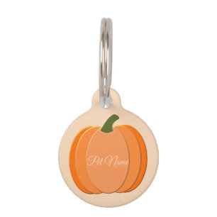 Cute Orange Gender Neutral Pumpkin Custom Pet Tag