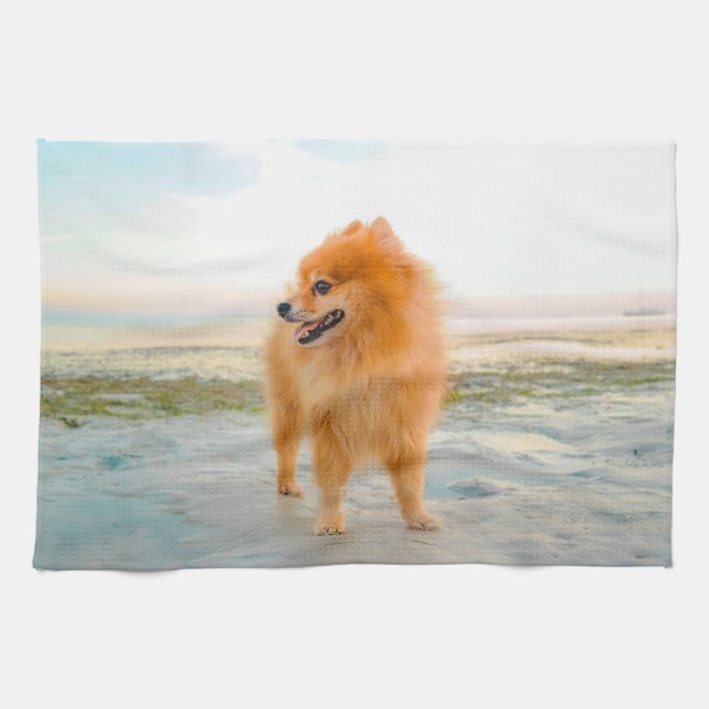 Cute Orange Pomeranian on Sandy Beach Tea Towel (Horizontal)
