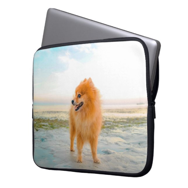 Cute Orange Pomeranian on the Beach Laptop Sleeve (Front Left)