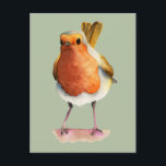 Cute Orange Robin Bird Watercolor Art Postcard<br><div class="desc">Watercolor painting of an orange robin bird perched on a tree.</div>