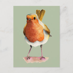 Cute Orange Robin Bird Watercolor Art Postcard