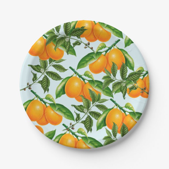Cute Oranges Paper Plates (Front)