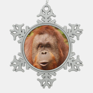 Funny Orangutan Funny Snowman Christmas Decorations - Temu