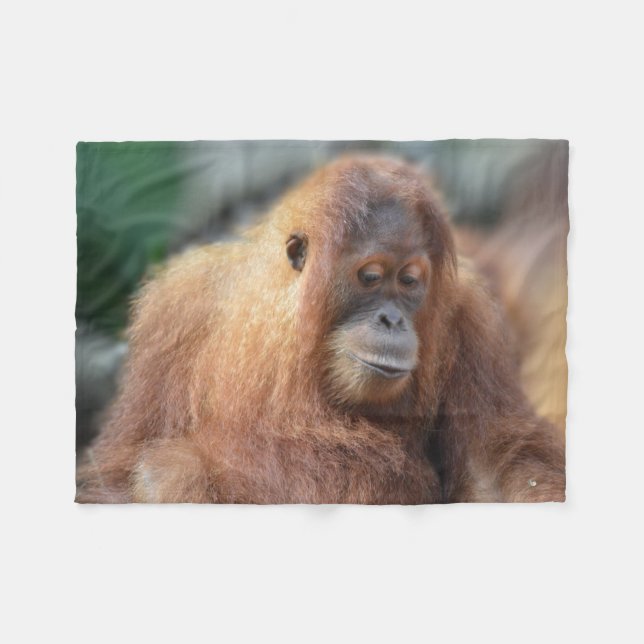 Cute Orangutan Fleece Blanket (Front (Horizontal))