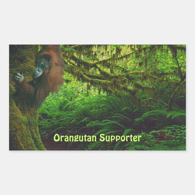 Cute Orangutan Playing in the Jungle Stickers (Front)