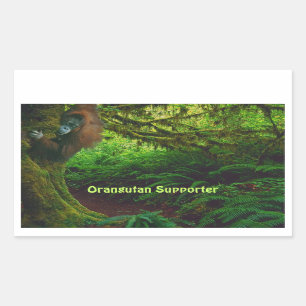 Cute Orangutan Playing in the Jungle Stickers