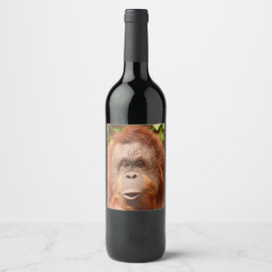 Cute orangutan wine label