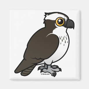 Cute Osprey Magnet