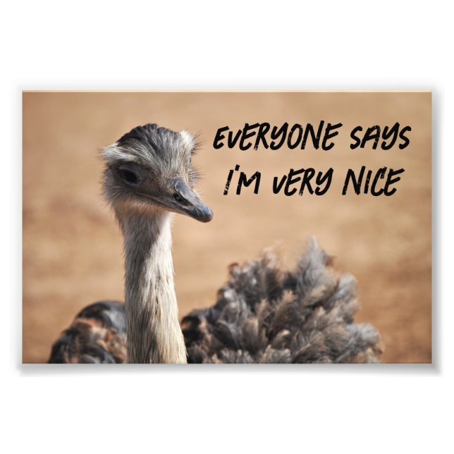 Cute ostrich photo print (Front)