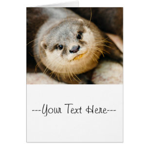 Cute Otter, Animal Portrait, Nature Photography
