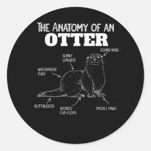 Cute Otter Explanation Anatomy Of An Otter Classic Round Sticker