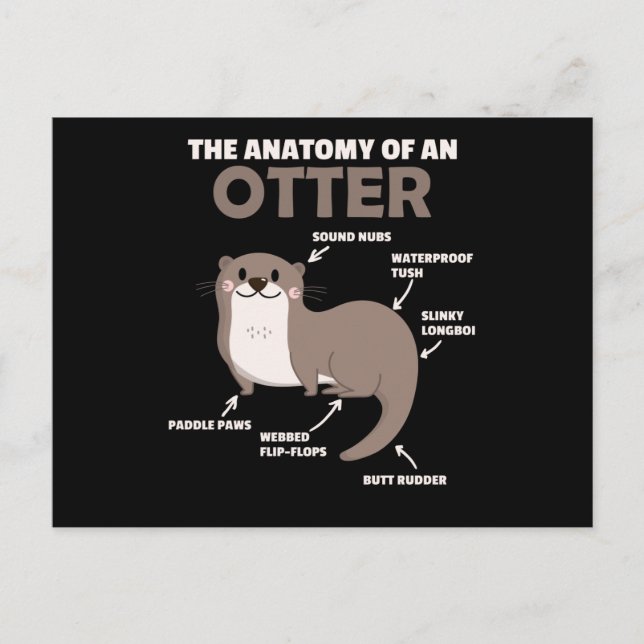 Cute Otter Explanation Anatomy Of An Otter Postcard (Front)