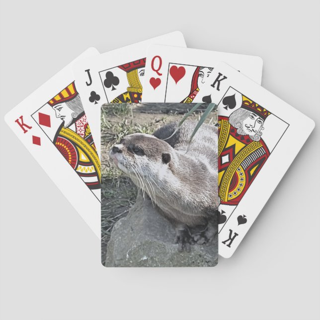 CUTE OTTER   PLAYING CARDS (Back)